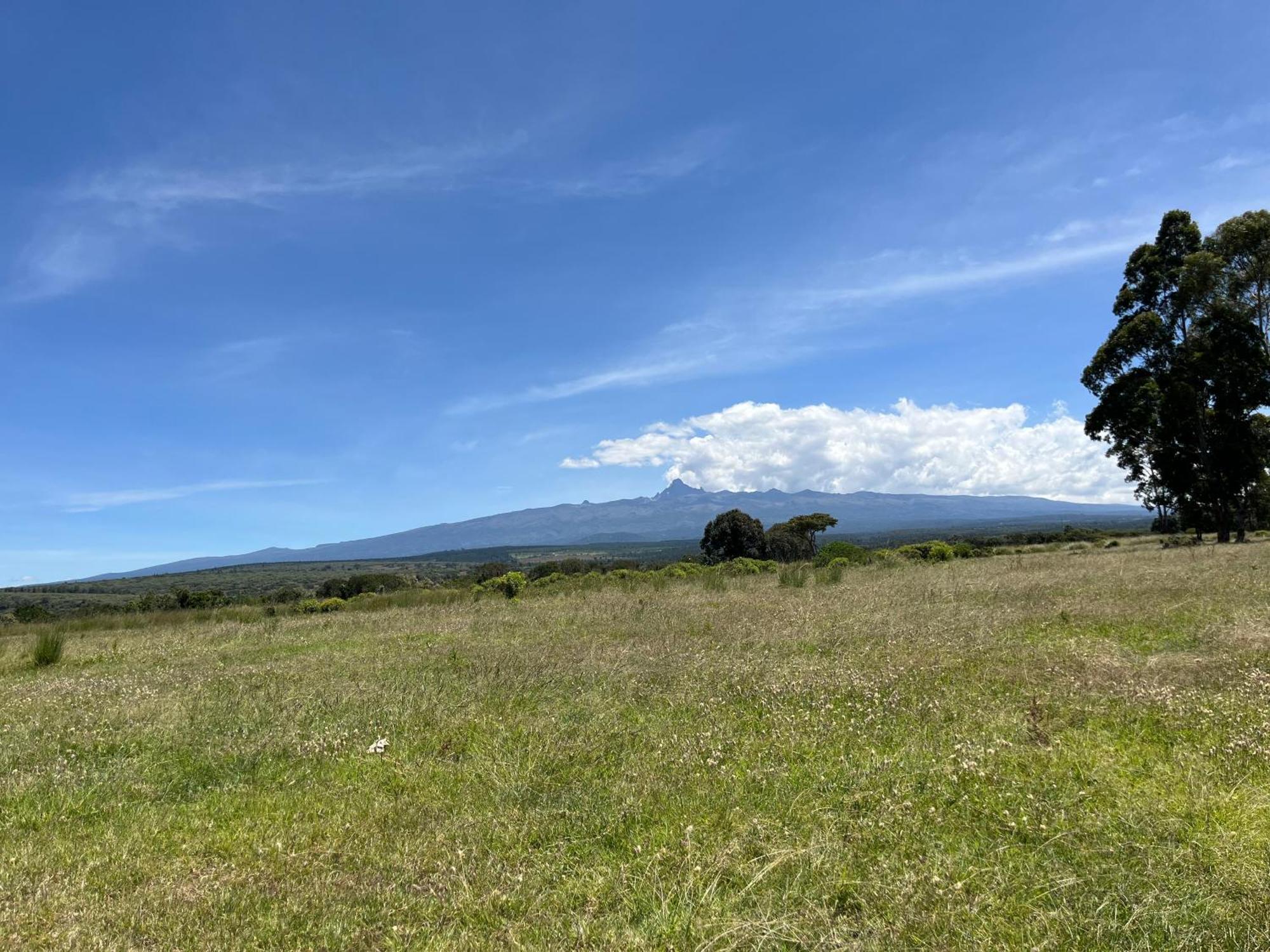 Rafiki House Hotel Nanyuki Exterior photo